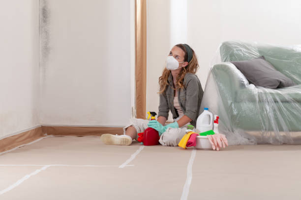 Reliable Mold Testing contractor in Carol Stream, IL by WQB Mold Removal